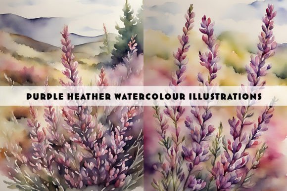 Heather Plant Watercolour Illustrations: Elegant Botanical Art for Every Project