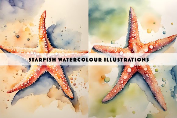 Starfish Watercolour Illustrations: A Versatile Design Asset