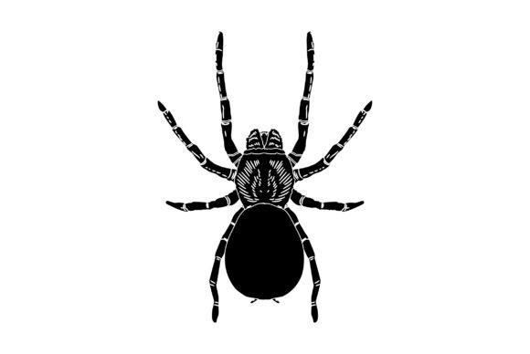Tarantula Vector Design Solid Color: Bold & Versatile
